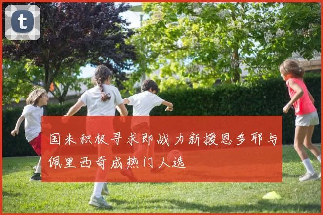 国米积极寻求即战力新援恩多耶与佩里西奇成热门人选